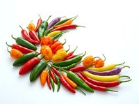 Isolated colorful chili peppers arranged in circular pattern on white background, featuring red, orange, yellow, green and purple varieties. Ready for design use.