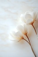 Delicate white flowers with soft brown stems against light background, creating ethereal and dreamy atmosphere. Gentle backlighting enhances translucent petals.