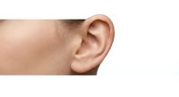 Close-up of human ear showing detailed anatomy and structure for medical education, healthcare concepts, and hearing-related designs.