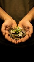 Male hands holding coins with green plant sprout growing from money symbolizing financial growth and investment success for business concepts.