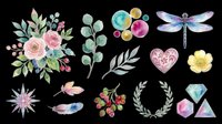 Watercolor floral and nature elements collection isolated on transparent background. Ready for t-shirt design, clipart, stickers, sublimation, print-on-demand products and digital crafts.