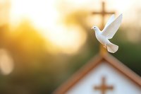 White dove flying near church steeple with cross at sunset, soft bokeh background creates peaceful spiritual atmosphere for religious concepts.