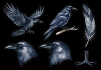 Raven and crow isolated design elements on transparent background, ready for t-shirt designs, clipart, stickers, sublimation and print-on-demand projects.