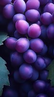 Fresh purple grapes with water drops in dramatic lighting, close-up macro shot showing detailed texture of ripe fruit cluster against dark background.
