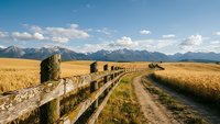 Rural dirt road with wooden fence leading through golden wheat field toward snow-capped mountain range under blue sky with white clouds in countryside landscape.