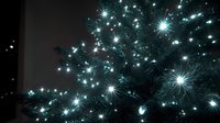 Close-up of Christmas tree with glowing white lights against dark background, creating festive holiday atmosphere for seasonal celebrations.