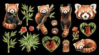 Watercolor red panda clipart set with bamboo, paw prints, and floral elements, isolated on transparent background. Great for stickers, t-shirt design, and print on demand.