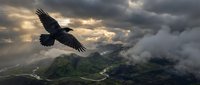Majestic black raven soaring over dramatic mountain landscape with stormy clouds and golden sunlight breaking through moody sky creating powerful nature scene.