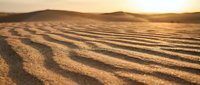 Golden sand dunes with rippled texture patterns at sunset in desert landscape. Warm light creates dramatic shadows and highlights across natural formations.