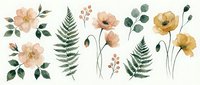 Watercolor botanical elements with peach and yellow flowers, ferns, eucalyptus leaves isolated on white background for wedding invitations and crafts.
