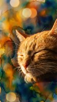 Orange tabby cat sleeping peacefully with closed eyes against colorful bokeh background with warm golden lights creating dreamy atmosphere for pet care content.