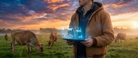Young male farmer using digital tablet with holographic data display managing cattle herd at sunset. Smart agriculture technology concept for livestock monitoring.