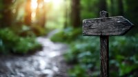 Weathered wooden directional sign on forest trail with sunlight filtering through trees and winding path ahead, suitable for travel and navigation concepts.