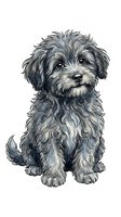 Adorable fluffy puppy with curly gray and white coat sitting and looking at camera. Isolated on white background, ready for design use on apparel and marketing materials.