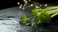 Fresh green celery stalks with bright leaves on wet black stone surface with water drops, dramatic lighting and minimalist food composition.