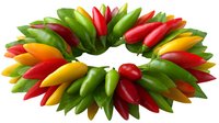 Colorful arrangement of fresh hot chili peppers in circle shape including red, green and yellow varieties on white background, isolated for food design projects.