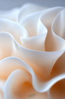 Soft white petals create gentle curves and waves in macro photography, highlighting delicate textures against warm peach background for elegant abstract composition.