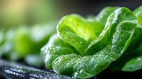 Fresh green bell pepper macro shot with water drops on surface showing detailed texture and natural vegetable freshness in dark background.