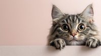 Curious gray tabby cat with big eyes peeking over white surface against pink background, paws visible, looking directly at camera with playful expression.