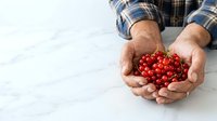 Farmer holding fresh red currants in cupped hands over white marble surface, showcasing organic produce for agriculture and food industry marketing.