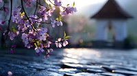 Delicate pink cherry blossoms hanging over traditional tiled roof, soft bokeh background creates dreamy spring atmosphere with sunlight reflecting on tiles.
