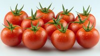 Fresh ripe red tomatoes with green stems and water droplets arranged on white background. Organic vegetables for healthy cooking and nutrition.