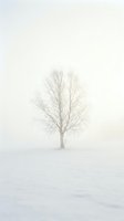 Lone bare tree standing in a vast snowy field under dense winter fog, creating a serene, minimalist atmosphere of solitude and calm.