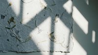 Cracked concrete wall with natural shadows and dried plant stems creating abstract textural patterns for urban design projects.