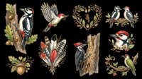 Watercolor woodpecker clipart set with birds, feathers, nests, and floral wreaths, isolated on transparent background. Ready for t-shirt design, stickers, and print on demand.