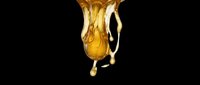 Golden honey dripping and flowing downward, isolated on transparent background. Ready for design use on t-shirts, stickers, clipart, print-on-demand products, and sublimation projects.