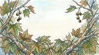 Watercolor illustration of grapevine branches with autumn foliage and fruit clusters, isolated on white background for design projects.