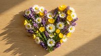 Heart-shaped arrangement of wildflowers with daisies, buttercups and purple blooms on wooden surface for romantic greeting cards and spring decorations.