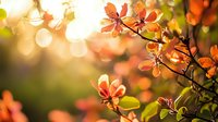 Vibrant orange autumn leaves on branch with golden bokeh background creating warm seasonal atmosphere in nature during sunset.