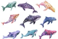 Watercolor whales collection with cosmic pattern and stars, marine mammals in purple, pink, and blue colors on white background, isolated elements for design.