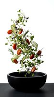Fresh salad ingredients flying above black bowl on white background. Tomatoes, cucumber, herbs and greens in motion for culinary design projects.