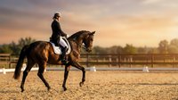 Female equestrian rider in black jacket performing dressage on brown horse in arena during golden hour sunset training session for competition preparation.