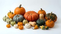 Assorted pumpkins and gourds in various sizes and colors including orange, white, and green varieties arranged together on white background for autumn harvest and fall seasonal designs.
