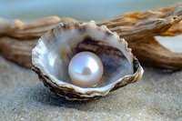 Open oyster shell with lustrous pearl resting on sand near driftwood, symbolizing luxury, treasure, and coastal beauty for jewelry and lifestyle design projects.