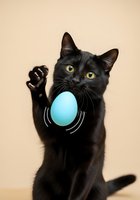 Black cat holding blue egg against beige background, isolated pet portrait for greeting cards, calendars, and animal-themed designs.