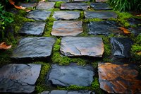 Ancient stone path with moss growing between weathered slate pavers, creating natural garden walkway pattern. Orange fallen leaves add seasonal accent.