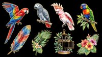 Colorful parrots, feathers, tropical plants, and decorative birdcage isolated on transparent background. Ready for t-shirt designs, clipart, stickers, sublimation, and print-on-demand products.