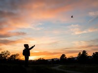 Silhouetted child standing in open field at sunset, pointing upward at flying bird in golden sky with dramatic clouds, outdoor nature scene for editorial and lifestyle use.