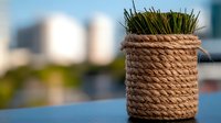 Decorative glass jar wrapped in natural jute rope with fresh wheatgrass growing inside, urban garden concept against blurred city background.