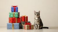 Tabby cat sitting next to stack of colorful wrapped gift boxes with ribbons on neutral background, holiday celebration and pet festive season concept for greeting cards and seasonal promotions.