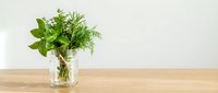 Fresh green herbs in glass jar on wooden table against neutral background for culinary and kitchen design projects.