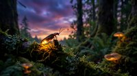 Glowing mushrooms illuminate enchanted forest floor at twilight with magical purple sky and mystical atmosphere for fantasy nature backgrounds.