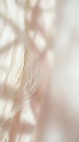 Soft blonde hair strands in close-up with blurred bokeh background, suitable for beauty, wellness, and haircare product marketing materials.