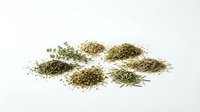 Assorted dried herbs and spices scattered on white background, culinary seasoning collection for cooking and food preparation isolated.