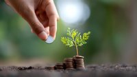 Small green plant growing from stack of coins with hand placing money, symbolizing financial growth and sustainable investment on blurred nature background.