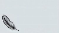 Single feather with fine details isolated on white background, ready for design projects, logos, and creative compositions.